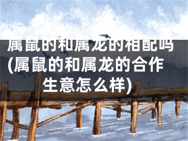 属鼠的和属龙的相配吗(属鼠的和属龙的合作生意怎么样)