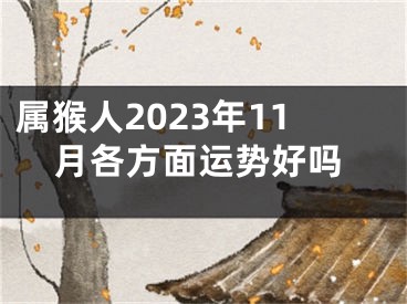 属猴人2023年11月各方面运势好吗