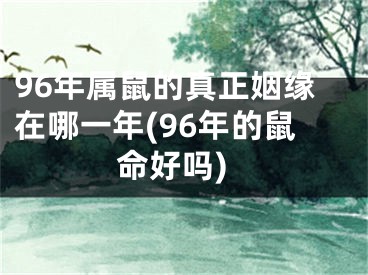 96年属鼠的真正姻缘在哪一年(96年的鼠命好吗)