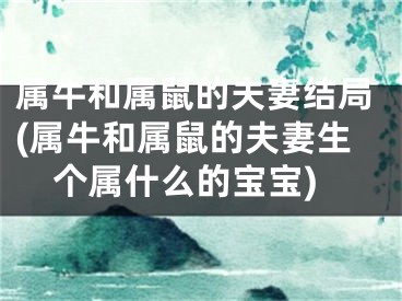 属牛和属鼠的夫妻结局(属牛和属鼠的夫妻生个属什么的宝宝)