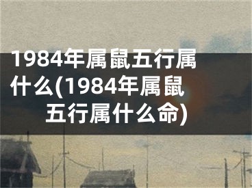 1984年属鼠五行属什么(1984年属鼠五行属什么命)