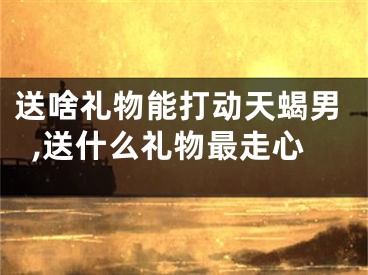 送啥礼物能打动天蝎男,送什么礼物最走心