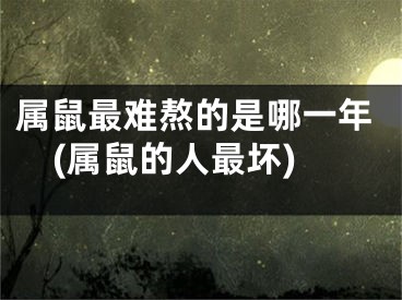 属鼠最难熬的是哪一年(属鼠的人最坏)
