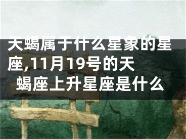 天蝎属于什么星象的星座,11月19号的天蝎座上升星座是什么