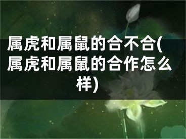 属虎和属鼠的合不合(属虎和属鼠的合作怎么样)