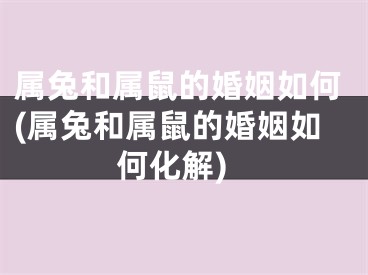 属兔和属鼠的婚姻如何(属兔和属鼠的婚姻如何化解)