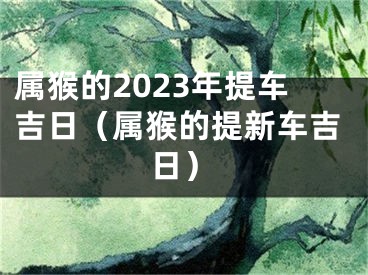 属猴的2023年提车吉日（属猴的提新车吉日）