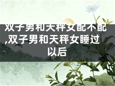 双子男和天秤女配不配,双子男和天秤女睡过以后