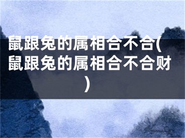 鼠跟兔的属相合不合(鼠跟兔的属相合不合财)