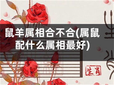 鼠羊属相合不合(属鼠配什么属相最好)