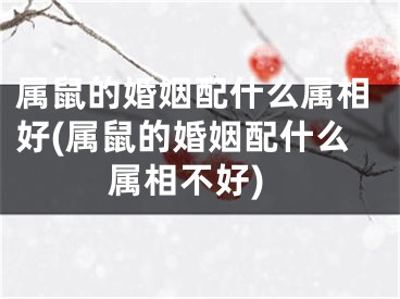 属鼠的婚姻配什么属相好(属鼠的婚姻配什么属相不好)