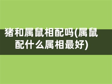 猪和属鼠相配吗(属鼠配什么属相最好)