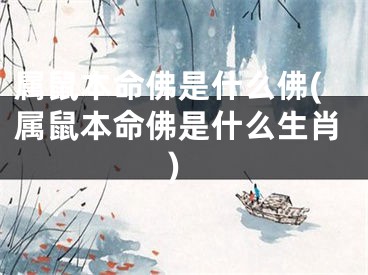 属鼠本命佛是什么佛(属鼠本命佛是什么生肖)