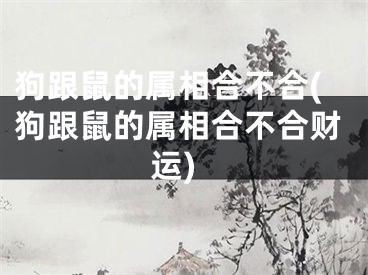 狗跟鼠的属相合不合(狗跟鼠的属相合不合财运)