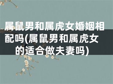 属鼠男和属虎女婚姻相配吗(属鼠男和属虎女的适合做夫妻吗)