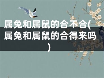 属兔和属鼠的合不合(属兔和属鼠的合得来吗)