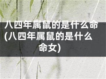 八四年属鼠的是什么命(八四年属鼠的是什么命女)
