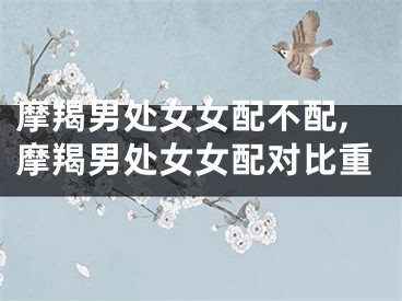 摩羯男处女女配不配,摩羯男处女女配对比重