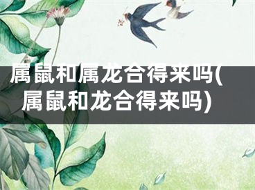 属鼠和属龙合得来吗(属鼠和龙合得来吗)