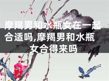 摩羯男和水瓶女在一起合适吗,摩羯男和水瓶女合得来吗