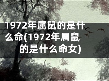 1972年属鼠的是什么命(1972年属鼠的是什么命女)