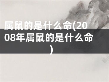 属鼠的是什么命(2008年属鼠的是什么命)