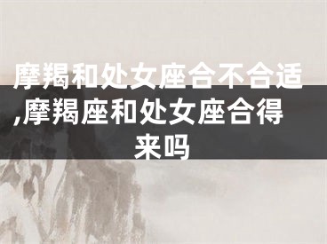 摩羯和处女座合不合适,摩羯座和处女座合得来吗