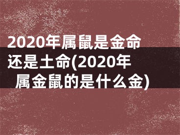 2020年属鼠是金命还是土命(2020年属金鼠的是什么金)