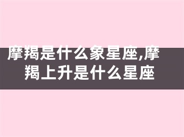 摩羯是什么象星座,摩羯上升是什么星座