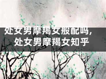 处女男摩羯女般配吗,处女男摩羯女知乎