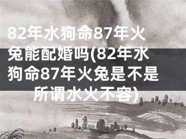 82年水狗命87年火兔能配婚吗(82年水狗命87年火兔是不是所谓水火不容)