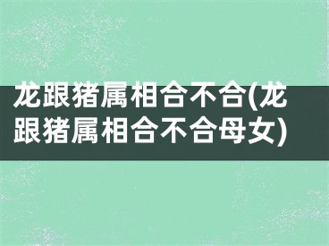 龙跟猪属相合不合(龙跟猪属相合不合母女)