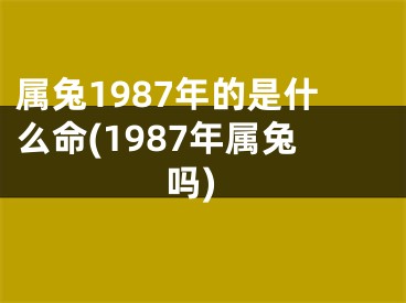 属兔1987年的是什么命(1987年属兔吗)
