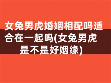 女兔男虎婚姻相配吗适合在一起吗(女兔男虎是不是好姻缘)