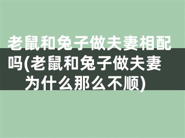老鼠和兔子做夫妻相配吗(老鼠和兔子做夫妻为什么那么不顺)