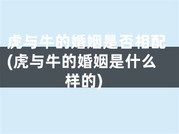 虎与牛的婚姻是否相配(虎与牛的婚姻是什么样的)
