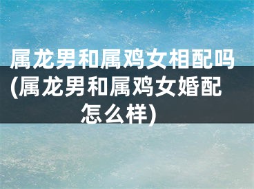 属龙男和属鸡女相配吗(属龙男和属鸡女婚配怎么样)