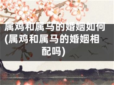 属鸡和属马的婚姻如何(属鸡和属马的婚姻相配吗)