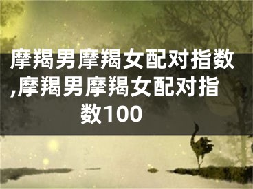 摩羯男摩羯女配对指数,摩羯男摩羯女配对指数100