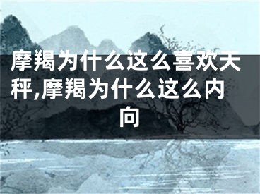 摩羯为什么这么喜欢天秤,摩羯为什么这么内向
