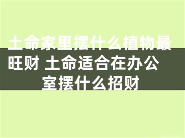 土命家里摆什么植物最旺财 土命适合在办公室摆什么招财