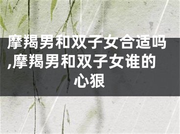 摩羯男和双子女合适吗,摩羯男和双子女谁的心狠