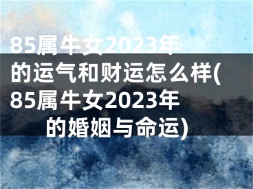 85属牛女2023年的运气和财运怎么样(85属牛女2023年的婚姻与命运)