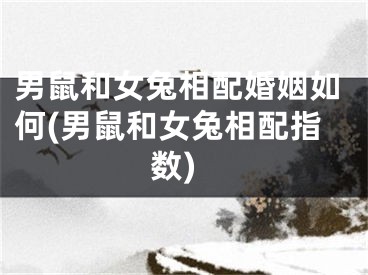 男鼠和女兔相配婚姻如何(男鼠和女兔相配指数)