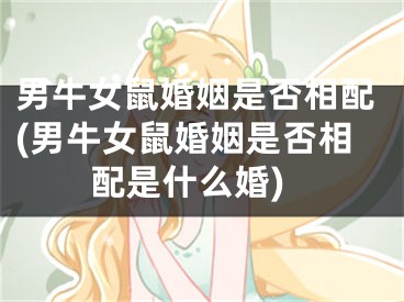 男牛女鼠婚姻是否相配(男牛女鼠婚姻是否相配是什么婚)