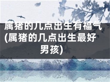 属猪的几点出生有福气(属猪的几点出生最好男孩)