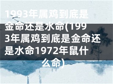 1993年属鸡到底是金命还是水命(1993年属鸡到底是金命还是水命1972年鼠什么命)