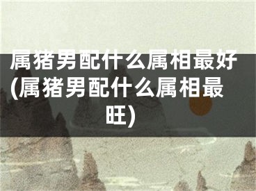 属猪男配什么属相最好(属猪男配什么属相最旺)