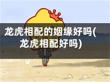 龙虎相配的姻缘好吗(龙虎相配好吗)