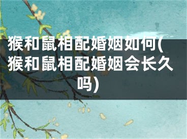 猴和鼠相配婚姻如何(猴和鼠相配婚姻会长久吗)